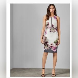 Ted Baker London Floral Sheath Dress - Size 3 / US 8